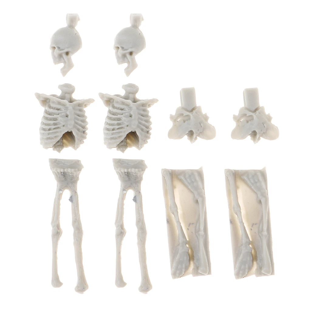 4Pcs 1:35 Scale Unpainted Unassemble Resin Skull Skeleton Model for Sand Table Armor Landcsape Diorama Building Toys