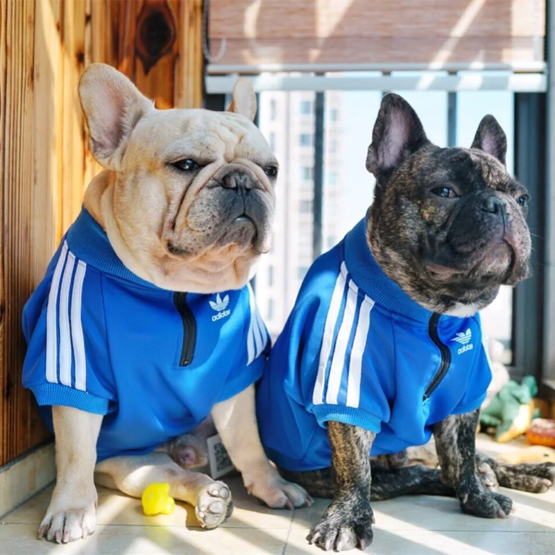 Dog Clothes Adidog French Bulldog Shirt Dog Sweater Sport Retro Chihuahua Cat Shirt Pet Clothes Ropa Perro Puppy Dog Pugs
Dog Clothes Adidog French Bulldog Shirt Dog Sweater Sport Retro Chihuahua Cat Shirt Pet Clothes Ropa Perro Puppy Dog Pugs
