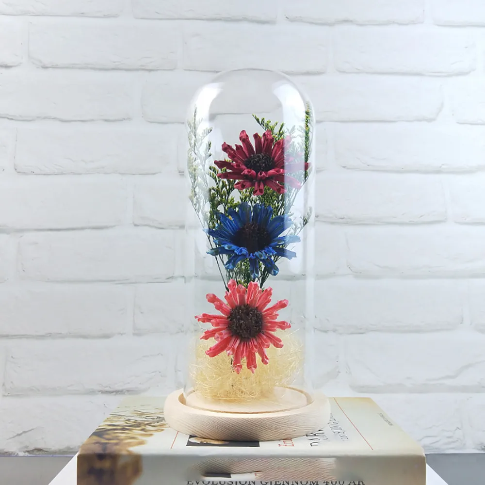 2019 new Three Head Cosmos Eternal Flower Micro Landscape Decorative Ornaments LED Light in a Glass Dome on a Wooden Base
2019 new Three Head Cosmos Eternal Flower Micro Landscape Decorative Ornaments LED Light in a Glass Dome on a Wooden Base