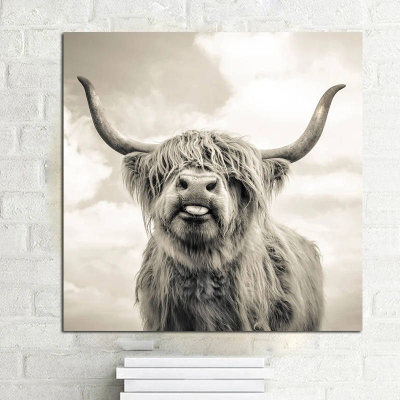 Landscape Colour Highland Cow Art Print Poster High land Cattle Cow Poster