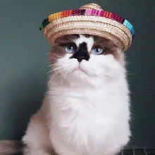 Sombrero de paja mexicano mascotas gorra Sombrero perro gato diadema ajustable tocado disfraces pelo gorra de banda Festival gato banda de perros L * 5(China)