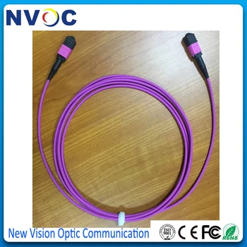 12cores,7M,OM4 MPO Female to MPO Female Fiber Optic Patch Cord,40G,50/125,OM3-550,B Type,3.0mm Mini LSZH Round Trunk Cable
12cores,7M,OM4 MPO Female to MPO Female Fiber Optic Patch Cord,40G,50/125,OM3-550,B Type,3.0mm Mini LSZH Round Trunk Cable