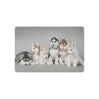 Funny Animal Anti-slip Door Mat Home Decor, Siberian Husky Puppy Dog Indoor Outdoor Entrance Doormat Rubber
Funny Animal Anti-slip Door Mat Home Decor, Siberian Husky Puppy Dog Indoor Outdoor Entrance Doormat Rubber