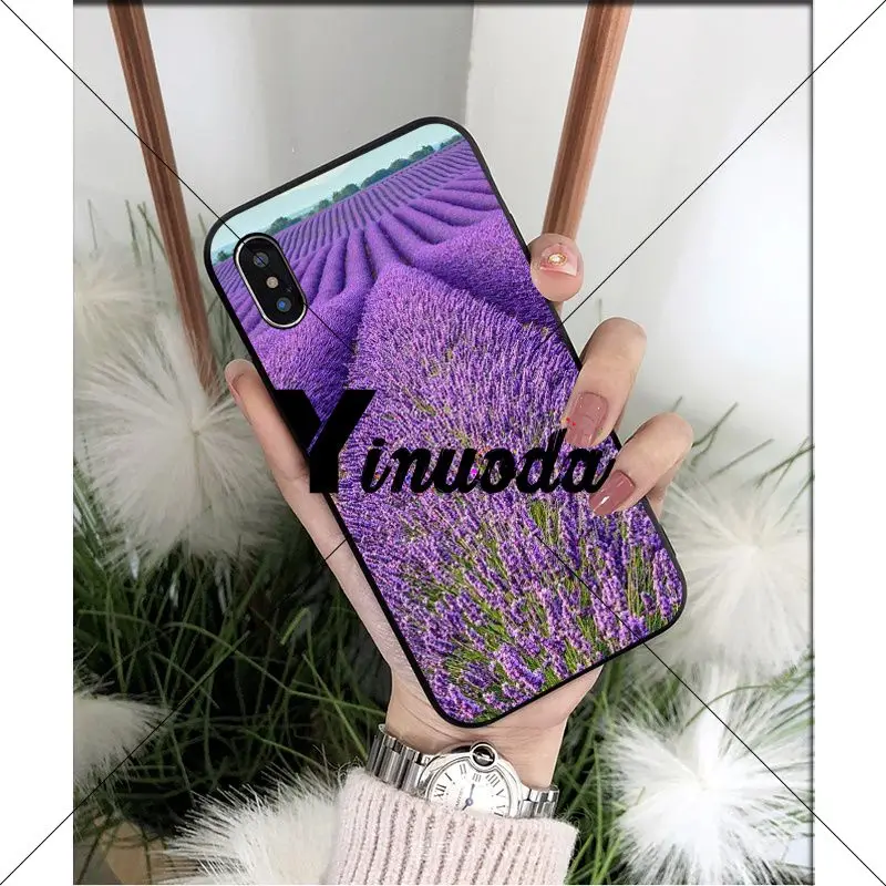 Simple lavender Purple flowers
