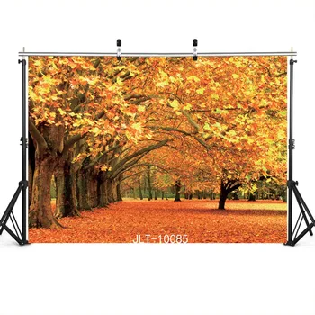 Vinyl Photography Backdrop Autumn Yellow Trees Leaves Photo Background for Portrait Child Baby Shower Kids Portrait Photobooth 
Vinyl Photography Backdrop Autumn Yellow Trees Leaves Photo Background for Portrait Child Baby Shower Kids Portrait Photobooth
