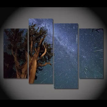 Painting Fashion Canvas Modular Picture Frame 4 Piece Canvas Art Starry Night Meteor Shower Wall Art For Living Room Decor
Painting Fashion Canvas Modular Picture Frame 4 Piece Canvas Art Starry Night Meteor Shower Wall Art For Living Room Decor