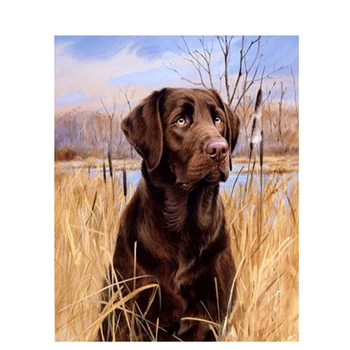 Labrador dog Animal DIY Digital Painting By Numbers Modern Wall Art Canvas Painting Gift for children Home Decor 40x50cm
Labrador dog Animal DIY Digital Painting By Numbers Modern Wall Art Canvas Painting Gift for children Home Decor 40x50cm