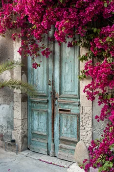 HUAYI Hot Sale Vintage Door With Flowers Backdrop Art Fabric Newborn Backdrop D-3209
HUAYI Hot Sale Vintage Door With Flowers Backdrop Art Fabric Newborn Backdrop D-3209