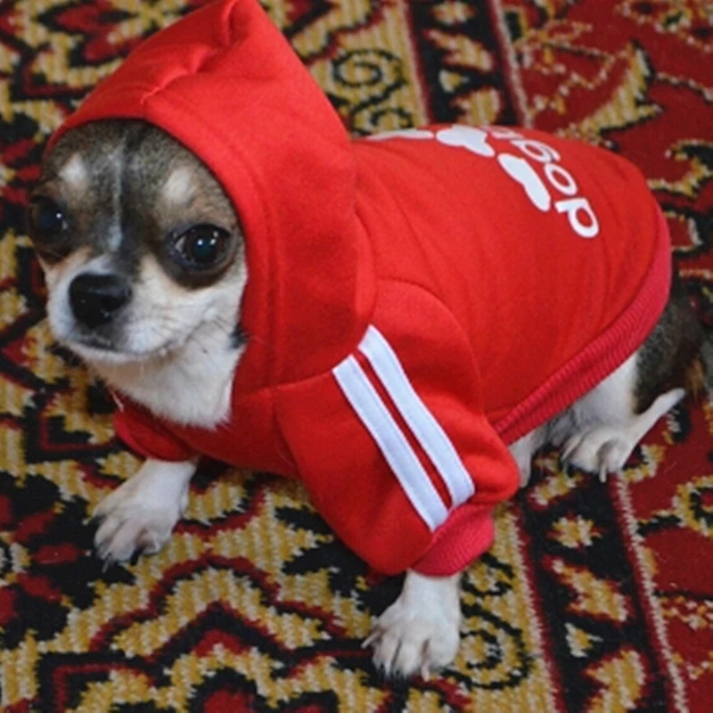 UTB8tRM5dHPJXKJkSafSq6yqUXXaN_