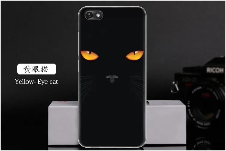 Yellow- Eye cat