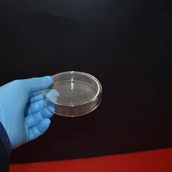 5pcs /lot High Quality Glass Petri Dish for Lab Plate Bacterial Yeast Diameter 60MM
5pcs /lot High Quality Glass Petri Dish for Lab Plate Bacterial Yeast Diameter 60MM