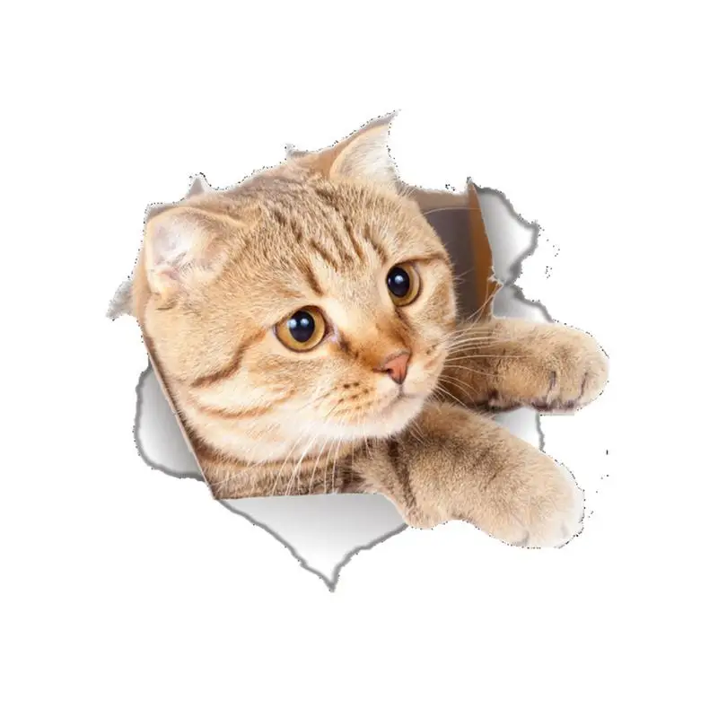 Cat Dog Toilet Seat 3D Sticker Bathroom Wallpaper Decal Removable PVC Wall Stickers For Home Decoration Supplies
Cat Dog Toilet Seat 3D Sticker Bathroom Wallpaper Decal Removable PVC Wall Stickers For Home Decoration Supplies