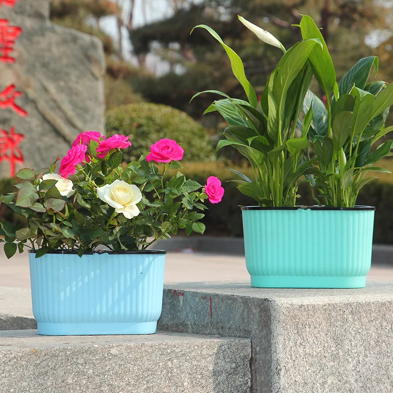 1pcs Automatic Watering Planter Flowerpot Double Pot Resin Plastic Hydroponic Succulent Plants Garden Desktop Home Decoration
1pcs Automatic Watering Planter Flowerpot Double Pot Resin Plastic Hydroponic Succulent Plants Garden Desktop Home Decoration