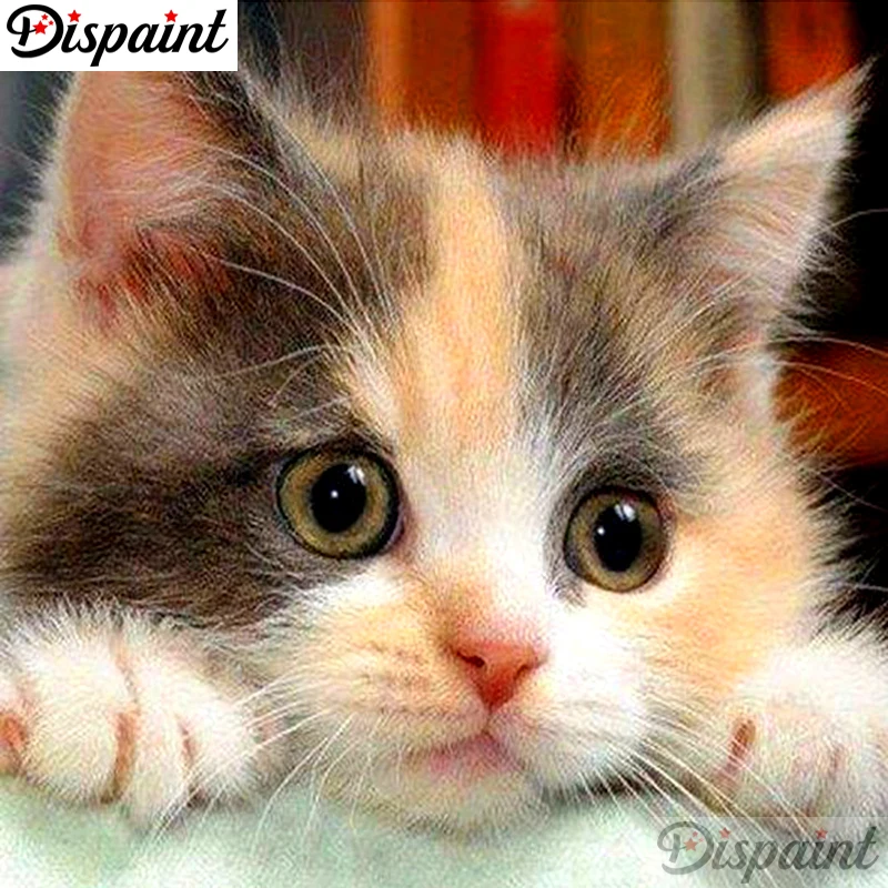 Dispaint Full Square/Round Drill 5D DIY Diamond Painting "Animal cat" Embroidery Cross Stitch 3D Home Decor A10522
Dispaint Full Square/Round Drill 5D DIY Diamond Painting "Animal cat" Embroidery Cross Stitch 3D Home Decor A10522