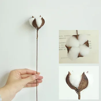 Large Dried Flowers Cotton Stems Bouquet Natural Floral Decoration Fragrant Wedding Home Decor navidad
Large Dried Flowers Cotton Stems Bouquet Natural Floral Decoration Fragrant Wedding Home Decor navidad