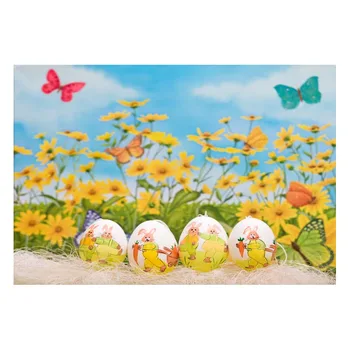 3X5ft Photo Backdrops Easter Butterfly Yellow Blooming Flower Painted Rabbit Eggs Cute Fun Children Background for Photo Shoots
3X5ft Photo Backdrops Easter Butterfly Yellow Blooming Flower Painted Rabbit Eggs Cute Fun Children Background for Photo Shoots
