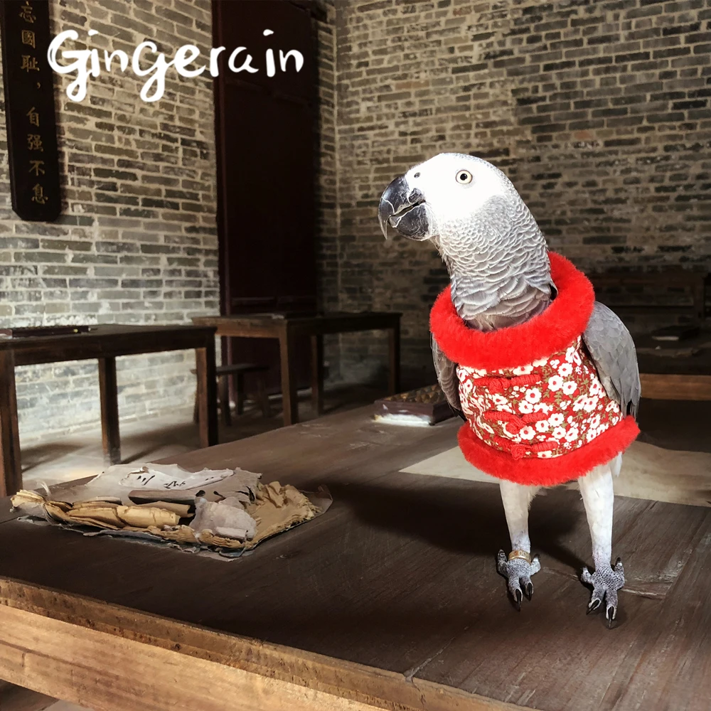 Gingerain Bird clothes Parrot clothes Red sleeves original hand-made custom bird clothes Hooded Sweater Red sleeves
Gingerain Bird clothes Parrot clothes Red sleeves original hand-made custom bird clothes Hooded Sweater Red sleeves