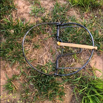 The widely used turtledove trap/head hold turtle dove trap/ with low price and high quality Free shipping
The widely used turtledove trap/head hold turtle dove trap/ with low price and high quality Free shipping