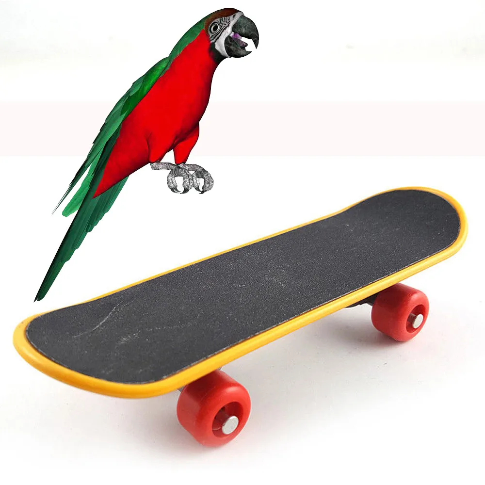 2018 Bird Parrot Intelligence Toys Mini Training Skateboard For Budgies Parakeet Growth Box Toy supply New Arrivals
2018 Bird Parrot Intelligence Toys Mini Training Skateboard For Budgies Parakeet Growth Box Toy supply New Arrivals