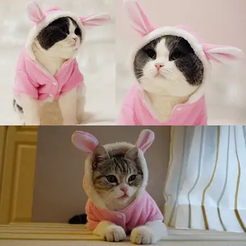Pet Cat Clothes Mascotas Costume Clothes For Pet Hoodies Cute Rabbit Cat Clothing Puppy Fleece Warm Pet Cat Jacket Outfit
Pet Cat Clothes Mascotas Costume Clothes For Pet Hoodies Cute Rabbit Cat Clothing Puppy Fleece Warm Pet Cat Jacket Outfit