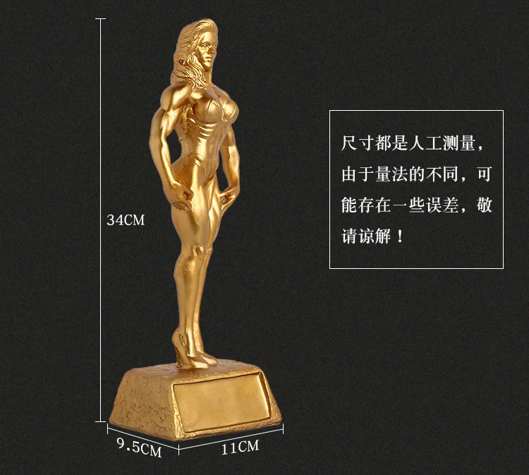 HIP Gym Fitness Strong Women Trophy Bodybuilding Sports Trophy Muscle Woman Trophy Bikini trophy
HIP Gym Fitness Strong Women Trophy Bodybuilding Sports Trophy Muscle Woman Trophy Bikini trophy