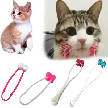 1PCS Face Massage Roller for Cat, Cat Interactive Comfortable Relaxer Massager Roller Relief Relief Grooming Tool (L,Blue)
1PCS Face Massage Roller for Cat, Cat Interactive Comfortable Relaxer Massager Roller Relief Relief Grooming Tool (L,Blue)