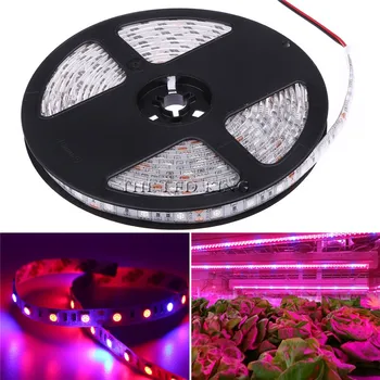 LED Plant Grow Lights 1M 2M 3M 4M 5M SMD 5050 DC12V Flexible LED Grow Strip Light for Greenhouse Hydroponics Plant Vegetable
LED Plant Grow Lights 1M 2M 3M 4M 5M SMD 5050 DC12V Flexible LED Grow Strip Light for Greenhouse Hydroponics Plant Vegetable