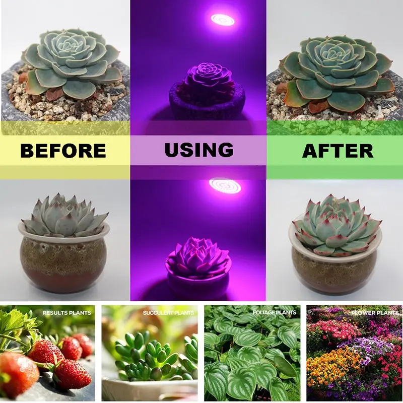3W Led Grow Light Bulb Full Spectrum Plant Light E27 E14 GU10 MR16 UV IR Led Growing Lamp For Hydroponics Flowers Vegetables
3W Led Grow Light Bulb Full Spectrum Plant Light E27 E14 GU10 MR16 UV IR Led Growing Lamp For Hydroponics Flowers Vegetables