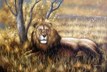 Cat Lion Tiger Cheetah Africa Animal Art Oil Painting
Cat Lion Tiger Cheetah Africa Animal Art Oil Painting