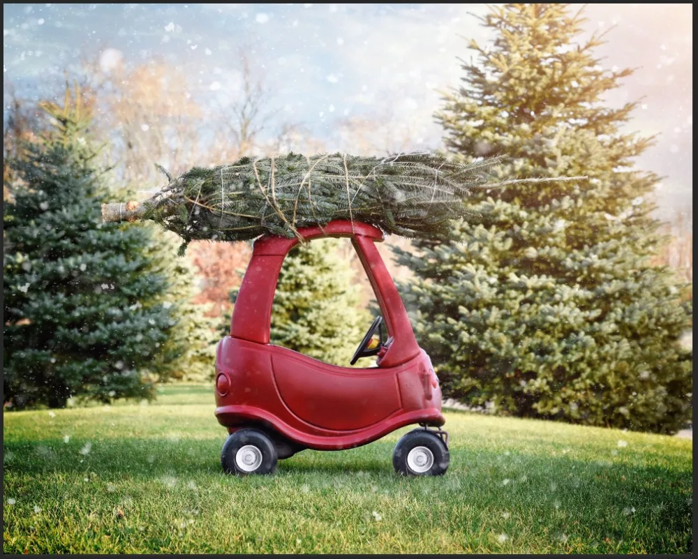 7x5FT Green Pine Branch Red Scooter Carriage Park Garden Grass Custom Photo Studio Backdrop Background Vinyl 220cm x 150cm
7x5FT Green Pine Branch Red Scooter Carriage Park Garden Grass Custom Photo Studio Backdrop Background Vinyl 220cm x 150cm