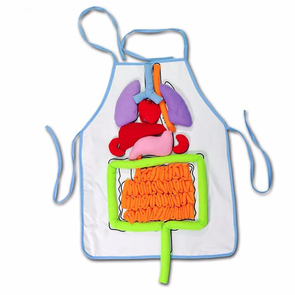 Creative Design School Education Teaching Aids Simulation Human Organs Diagram Apron For Children's Basic Skills Development Toy
Creative Design School Education Teaching Aids Simulation Human Organs Diagram Apron For Children's Basic Skills Development Toy