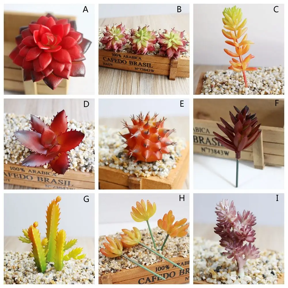 Beautiful Artificial Succulents Plants Fake Succulent Bonsai Plastic Succulent Flower Land Lotus For Home Office Decor
Beautiful Artificial Succulents Plants Fake Succulent Bonsai Plastic Succulent Flower Land Lotus For Home Office Decor
