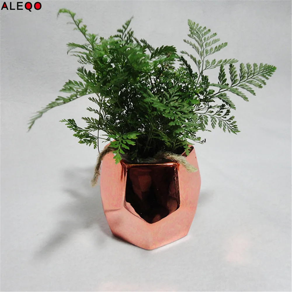 Nordic Chic Rose Gold Ceramics Storage Jar Tank Minimalist Plated Style Sundries Organizer Flower Vase Desk Storage Tin for Home
Nordic Chic Rose Gold Ceramics Storage Jar Tank Minimalist Plated Style Sundries Organizer Flower Vase Desk Storage Tin for Home