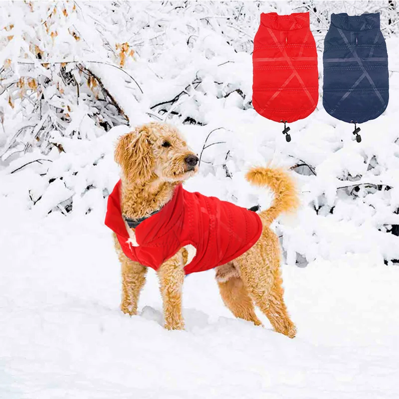 Two feet Dog Winter Clothes small Dog Coat cotton Plus velvet pet jacket Comfortable warm pet clothing red blue Color size XS-XL
Two feet Dog Winter Clothes small Dog Coat cotton Plus velvet pet jacket Comfortable warm pet clothing red blue Color size XS-XL