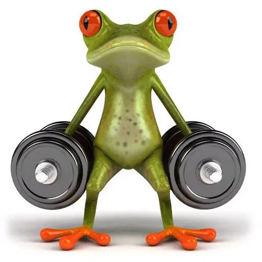 4pcs/lot 3D Frogs Waterproof Car Sticker,Funny Gecko Automobiles & Motorcycles Decal Sticker Cover,Exterior Accessories #K0063
4pcs/lot 3D Frogs Waterproof Car Sticker,Funny Gecko Automobiles & Motorcycles Decal Sticker Cover,Exterior Accessories #K0063