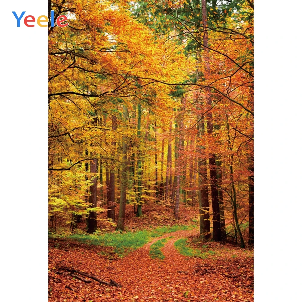 Yeele Autumn Forests Road Wonderful Scenery Camera Photography Backgrounds Personalized Photographic Backdrops For Photo Studio
Yeele Autumn Forests Road Wonderful Scenery Camera Photography Backgrounds Personalized Photographic Backdrops For Photo Studio