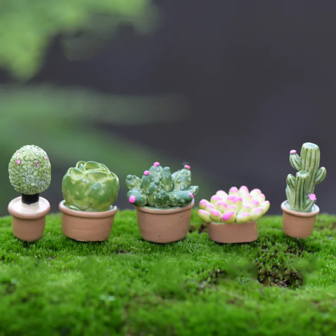 1Pcs/set Mini Cute grocery moss micro landscape ornaments ornaments DIY LOVE doll fleshy meat material
1Pcs/set Mini Cute grocery moss micro landscape ornaments ornaments DIY LOVE doll fleshy meat material