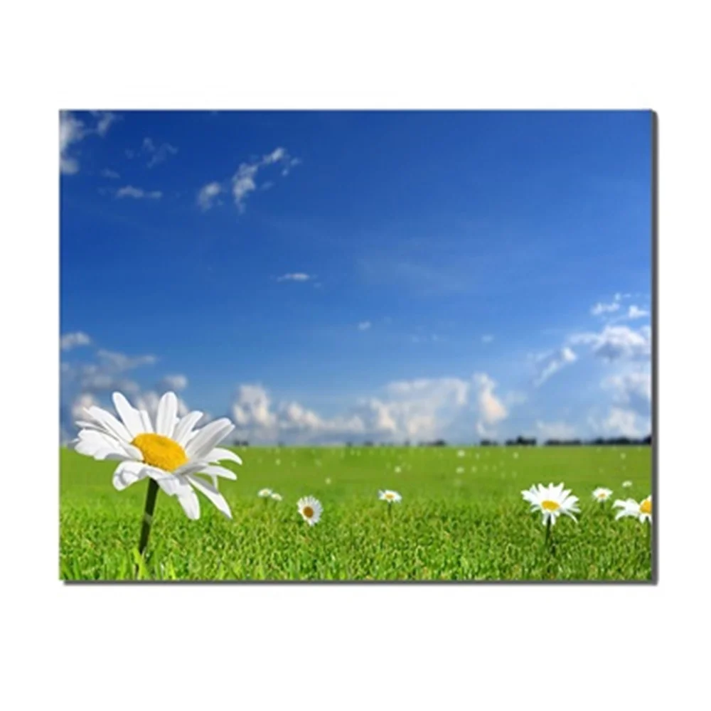 Spring Blooming Flowers Blue Sky Green Grassland Abstract Canvas Wall Art For Living Room Bedroom Office Indoor Decor No Frame
Spring Blooming Flowers Blue Sky Green Grassland Abstract Canvas Wall Art For Living Room Bedroom Office Indoor Decor No Frame