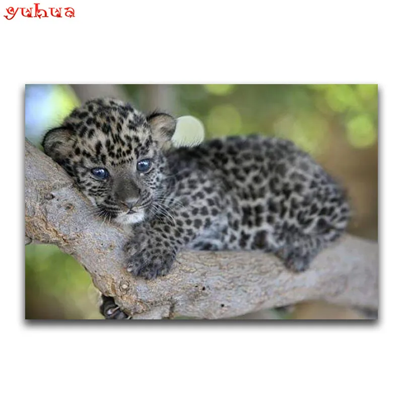 5D DIY Diamond painting animal Full Square Diamond mosaic Cat Full Round Diamond embroidery Cross stitch Little jaguar
5D DIY Diamond painting animal Full Square Diamond mosaic Cat Full Round Diamond embroidery Cross stitch Little jaguar