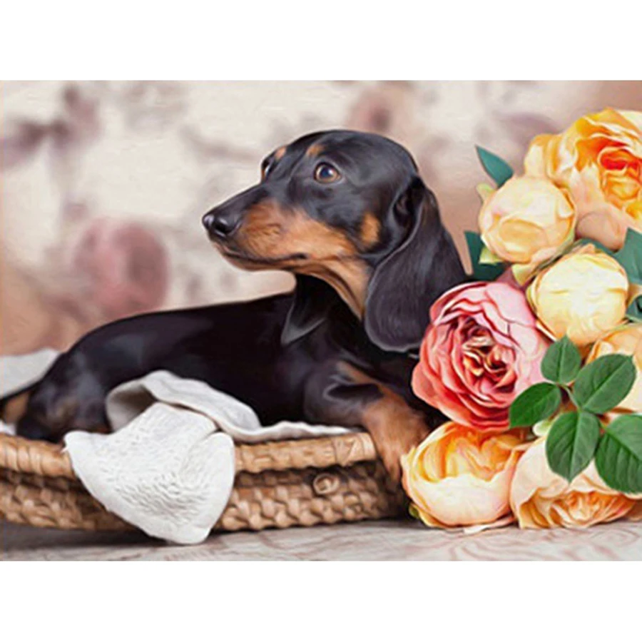 Dachshund Full 5D Diy Daimond Painting Cross-stitch Dog&Flower 3D Diamond Painting Full Rhinestones Paintings Embroidery Gifts
Dachshund Full 5D Diy Daimond Painting Cross-stitch Dog&Flower 3D Diamond Painting Full Rhinestones Paintings Embroidery Gifts