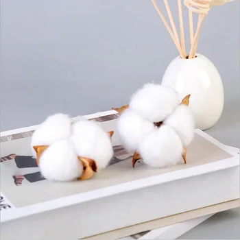 1Pcs Natural Cotton Balls 6 colorsDry Flower Wedding Dried Flowers Plants Artificial Flowers Party Birthday Hotel Deco
1Pcs Natural Cotton Balls 6 colorsDry Flower Wedding Dried Flowers Plants Artificial Flowers Party Birthday Hotel Deco