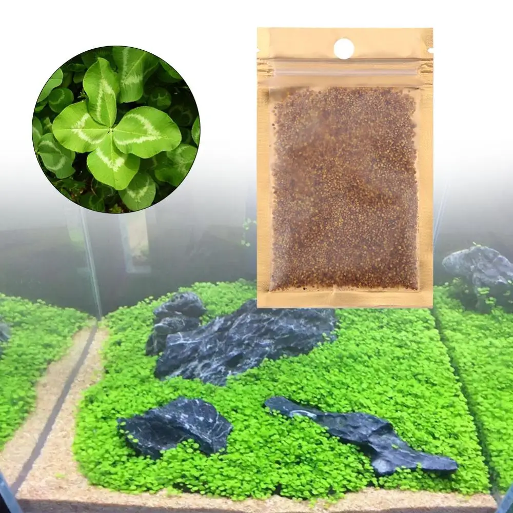 10g Grow Plants Seed Fish Tank Landscape Easy Water Growing Plants Grass Fish Tank Aquarium Decoration
10g Grow Plants Seed Fish Tank Landscape Easy Water Growing Plants Grass Fish Tank Aquarium Decoration