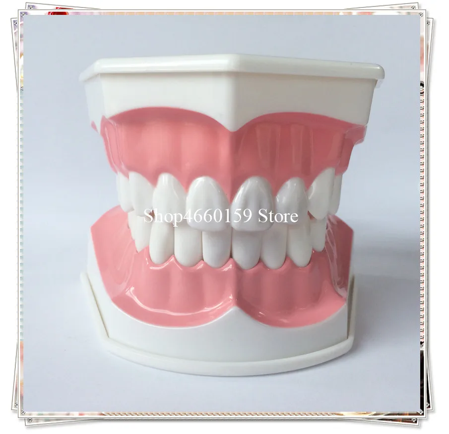teeth brushing model-2