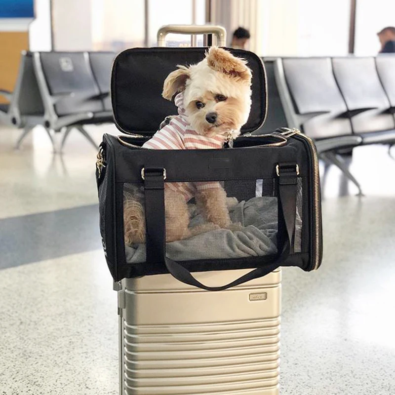 Pet Carrier Bags Backpack Portable Messenger Popeye Outgoing Travel Handbag Cat Dog Puppy Packet Breathable Mesh Small Pet
Pet Carrier Bags Backpack Portable Messenger Popeye Outgoing Travel Handbag Cat Dog Puppy Packet Breathable Mesh Small Pet