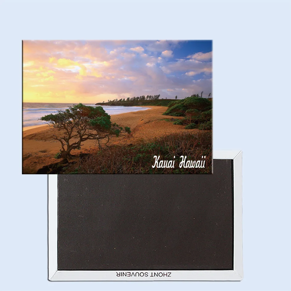 Donkey Beach, Kauai, Hawaii, Magnetic refrigerator stickers, tourist souvenirs, small gifts 24796
Donkey Beach, Kauai, Hawaii, Magnetic refrigerator stickers, tourist souvenirs, small gifts 24796