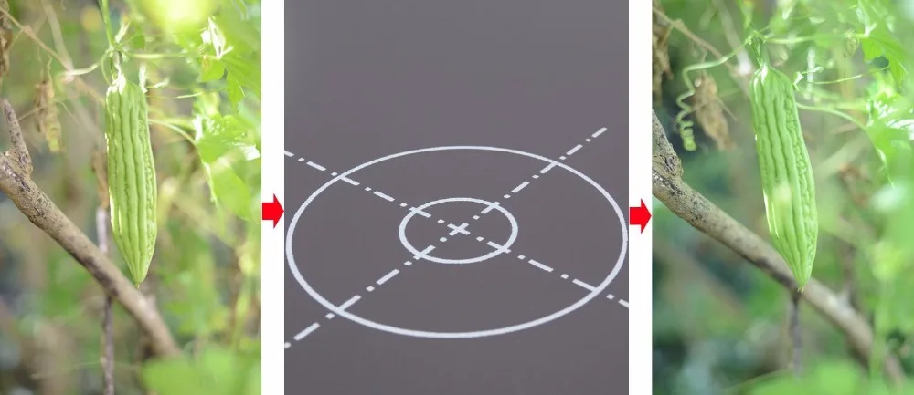 61kc05QgKRL._SL1500_