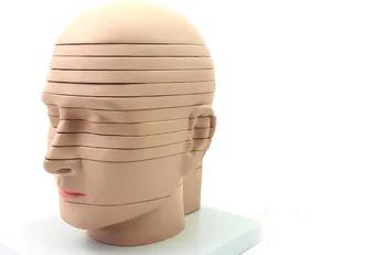 Human head anatomy Brain Model CTMRI brain imaging radiology neurology model 12 sheet
Human head anatomy Brain Model CTMRI brain imaging radiology neurology model 12 sheet