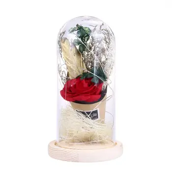 Enchanted Forever Rose Flower Glass Desk Lamp Romantic Valentine's Day Wedding Home Decor LED Light Battery Powered
Enchanted Forever Rose Flower Glass Desk Lamp Romantic Valentine's Day Wedding Home Decor LED Light Battery Powered