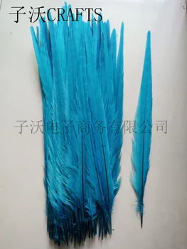 50 pieces of high quality blue pheasant tail feathers, 45-50cm, DIY handicrafts decorative accessories
50 pieces of high quality blue pheasant tail feathers, 45-50cm, DIY handicrafts decorative accessories