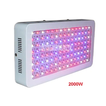 High-quality 85-265V A-2000W LED Double Chips Full Spectrum Greenhouse Plant Growth Light For Indoor Plants LED Grow Light 320W
High-quality 85-265V A-2000W LED Double Chips Full Spectrum Greenhouse Plant Growth Light For Indoor Plants LED Grow Light 320W
